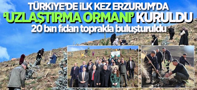 Erzurum'da “Uzlaştırma Ormanı” Kuruldu